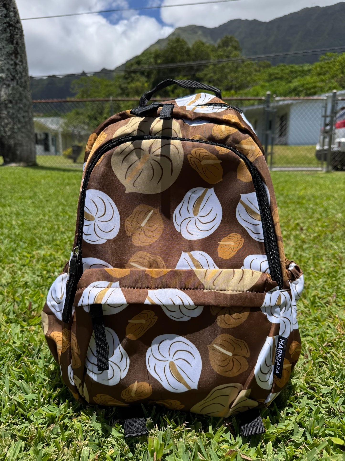 Backpack