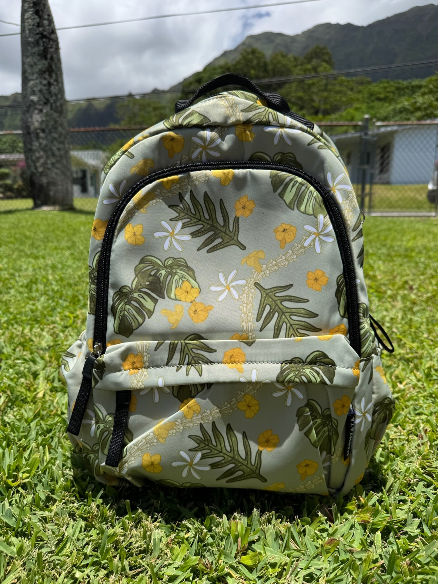 Backpack