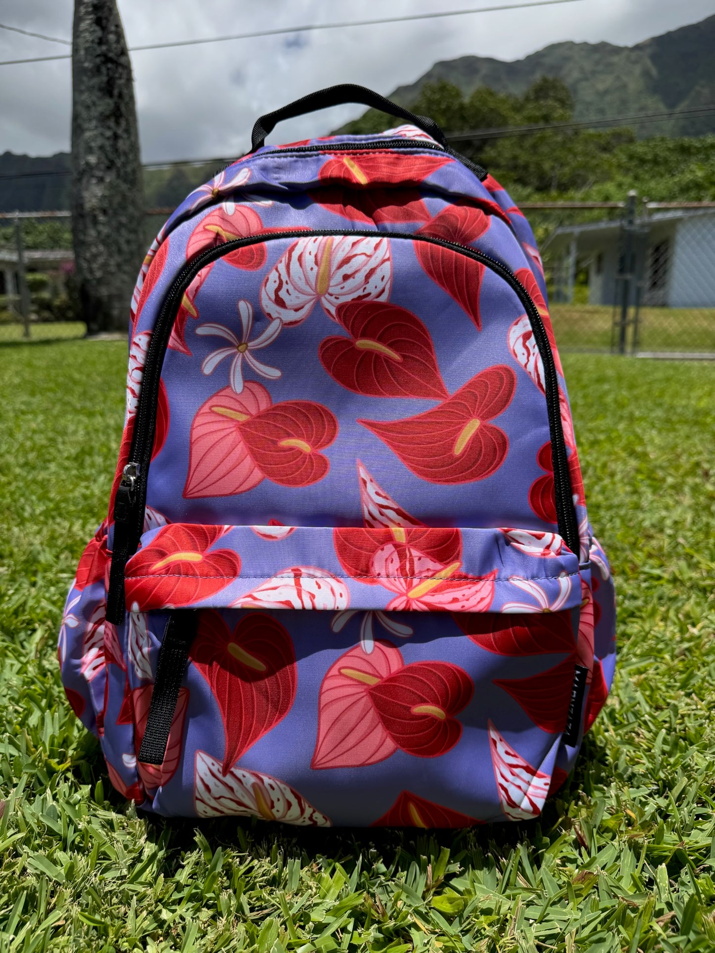 Backpack