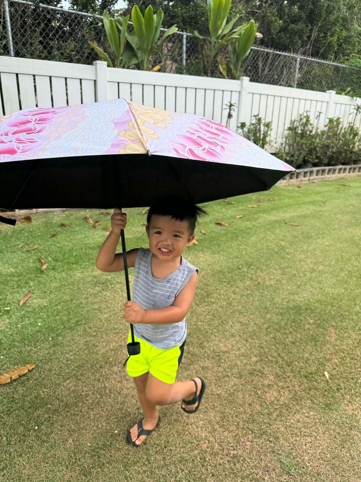 Compact Umbrellas