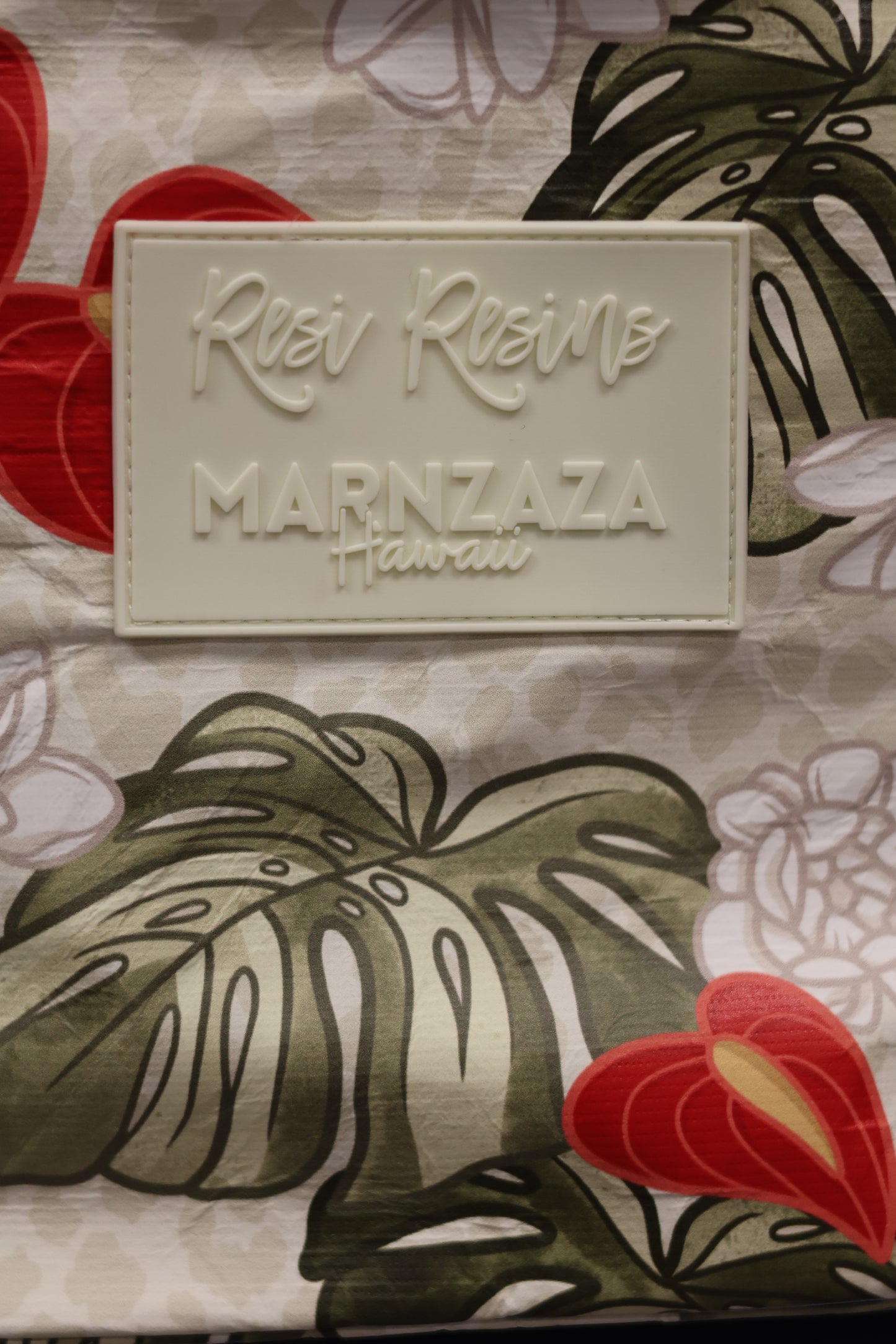 ZAZA X RESI Plate Lunch Cooler Bag